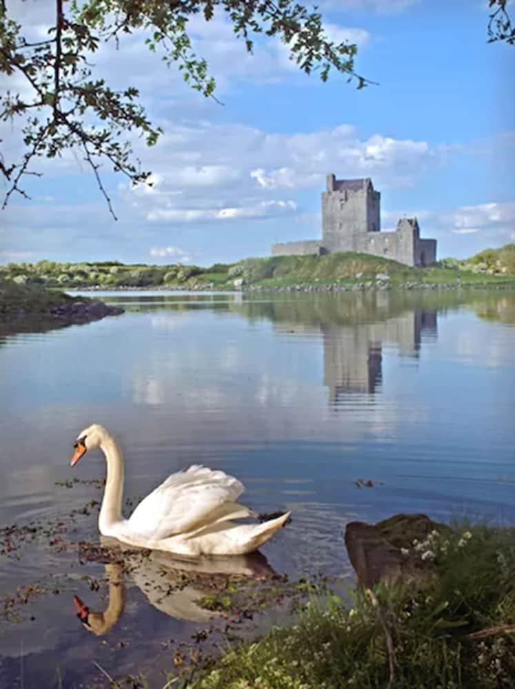 Merriman Hotel Kinvara Eksteriør bilde